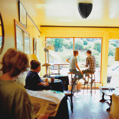 Cafe duvar tavan ses sistemi